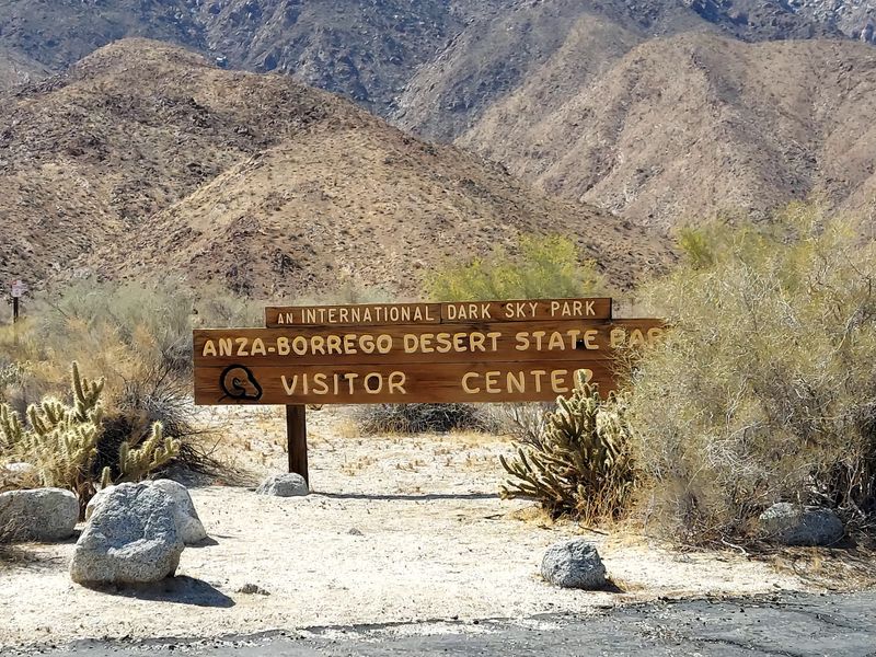 Anza-Borrego Desert Wildflower Bloom