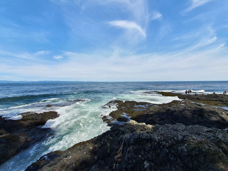 Salt Creek Recreation Area near Port Angeles