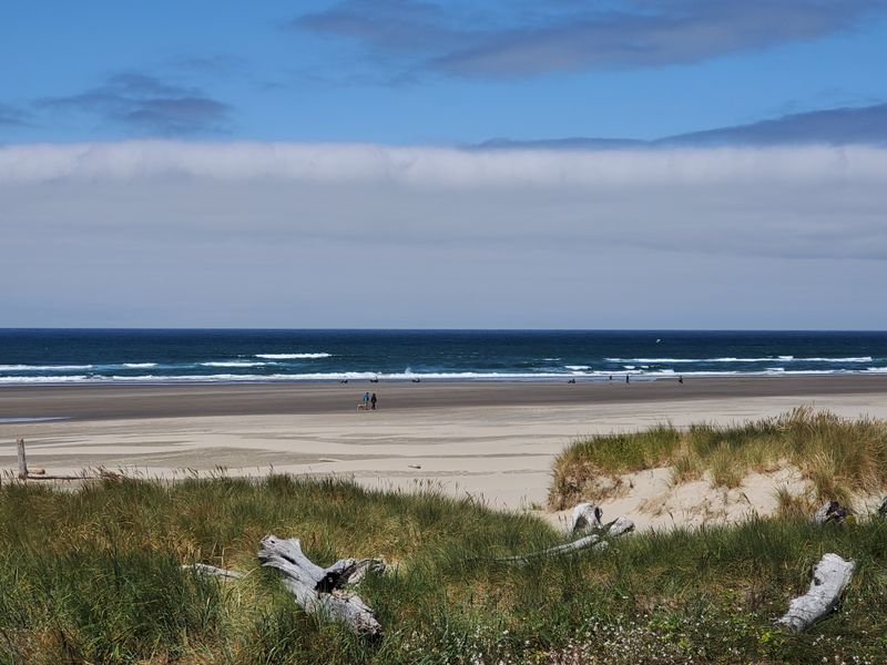 Nehalem Bay State Park’s Quiet Loops
