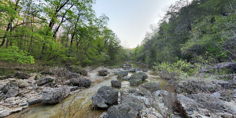 Conclusion, Why Hercules Glades Wilderness Endures