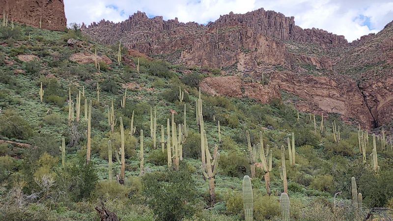 Respect for cultural and natural context