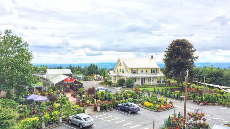 Cornell Farm Nursery