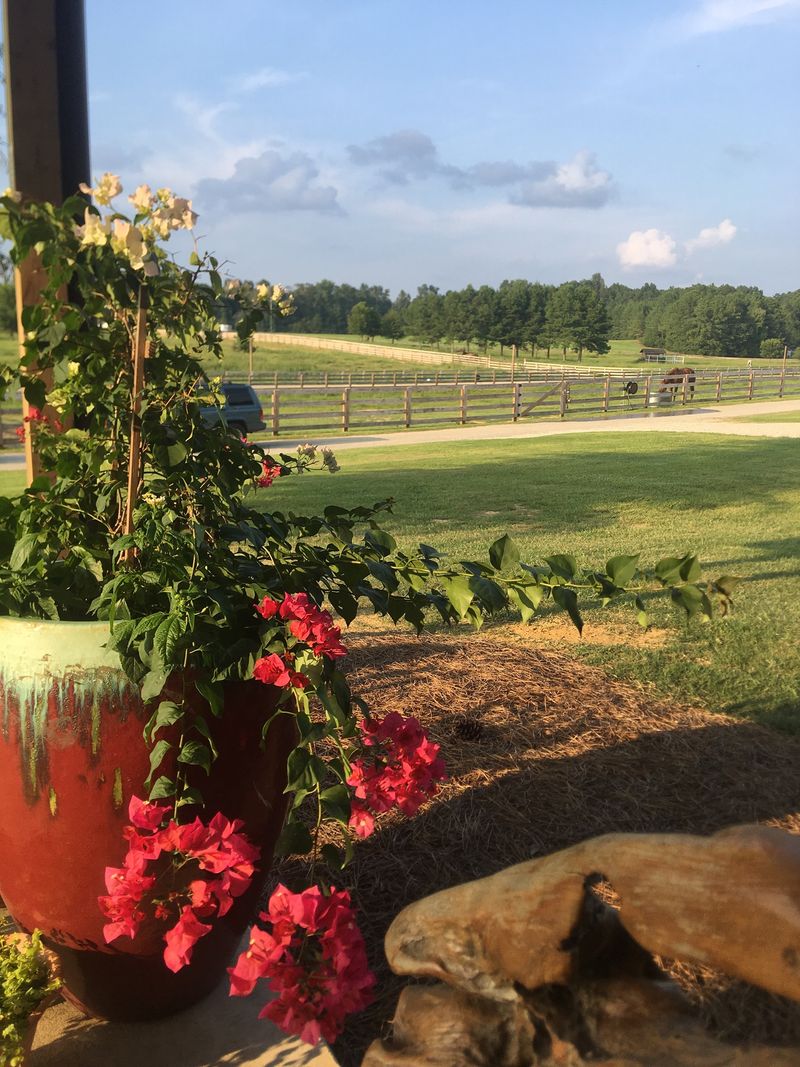 Rolling Ridge Ranch in Holmes County