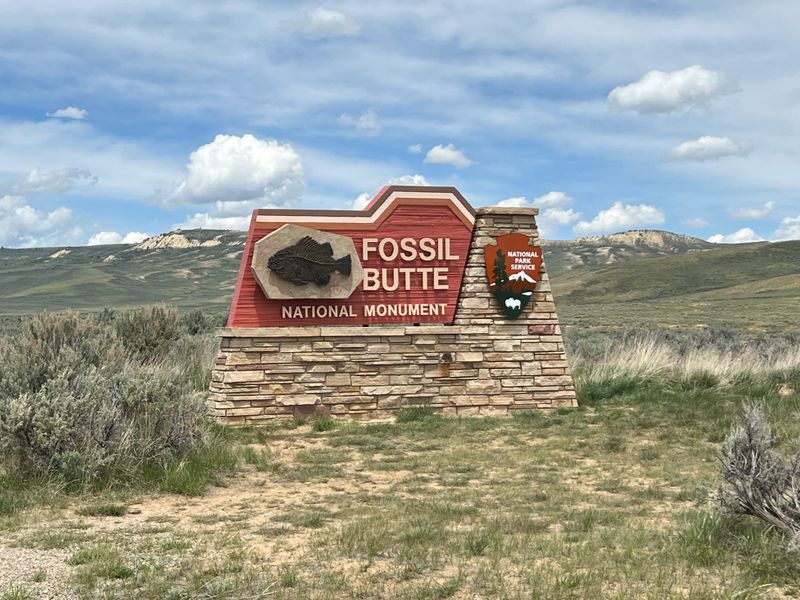 Fossil Butte National Monument