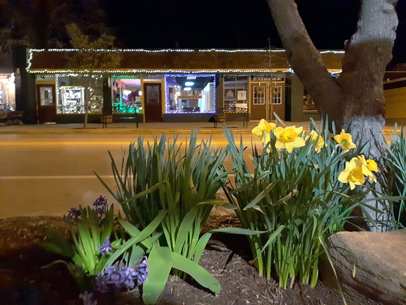 Strong Community Identity Resists Homogenization