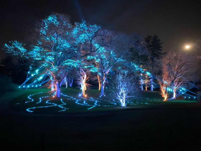Illumination at The Morton Arboretum, 4100 Illinois Route 53, Lisle