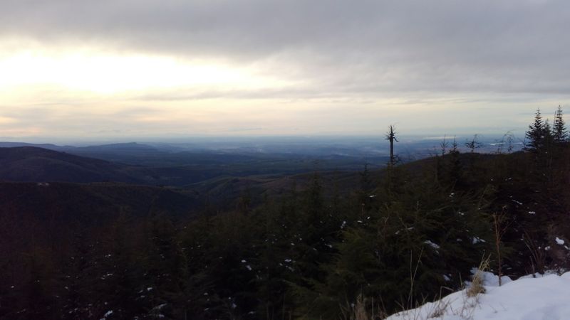 The Forest As A Neighbor, Not A Backdrop