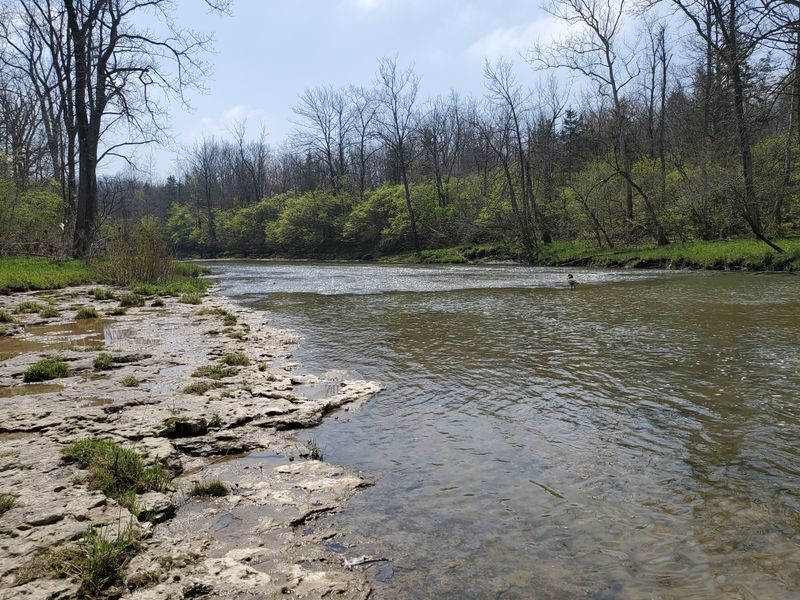 Stillwater River, Englewood MetroPark reach