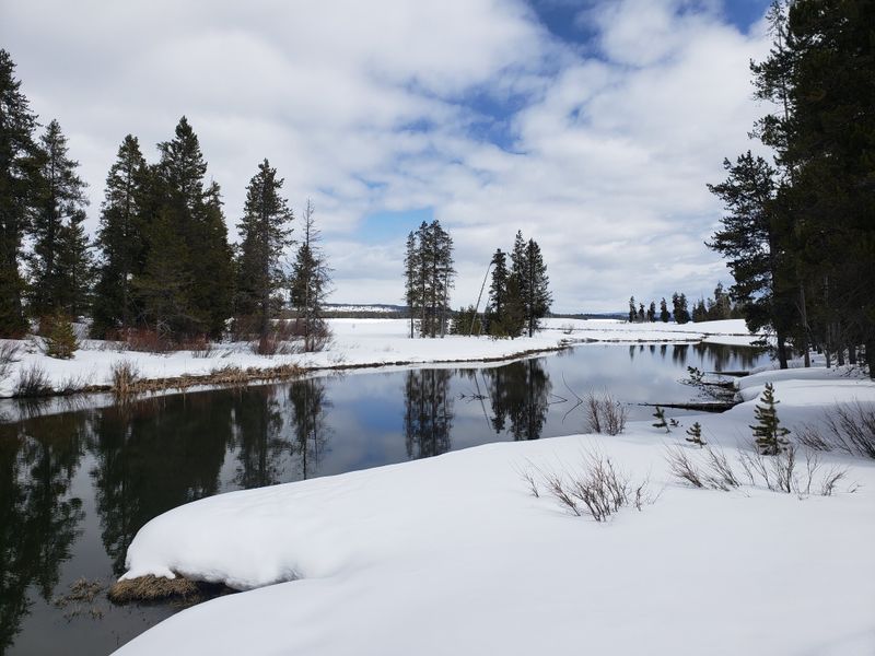 Yellowstone, And Big Nature Just Beyond Town
