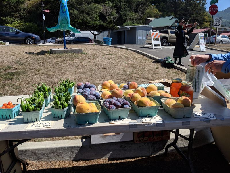 Yachats Farmers Market - Seasonal Sundays