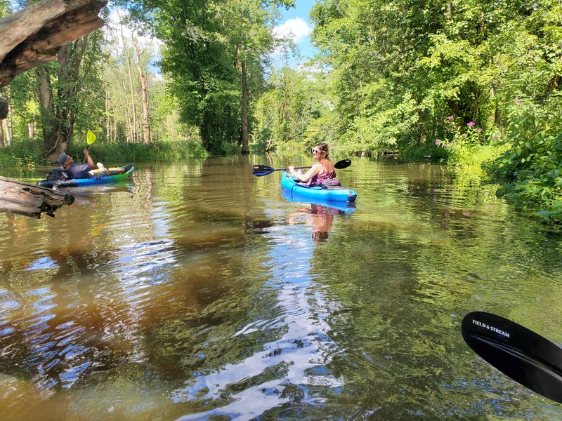 Upper Cuyahoga headwaters at Eldon Russell Park