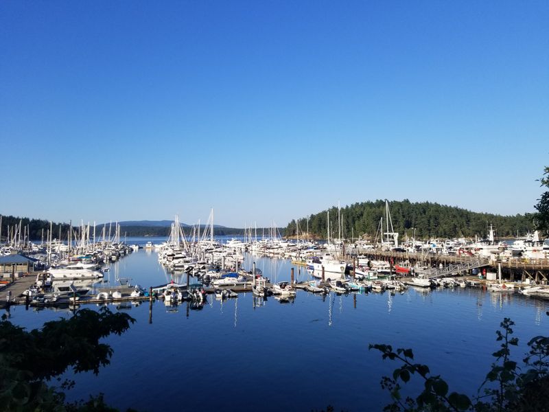 Kayaking The Harbors And Coves