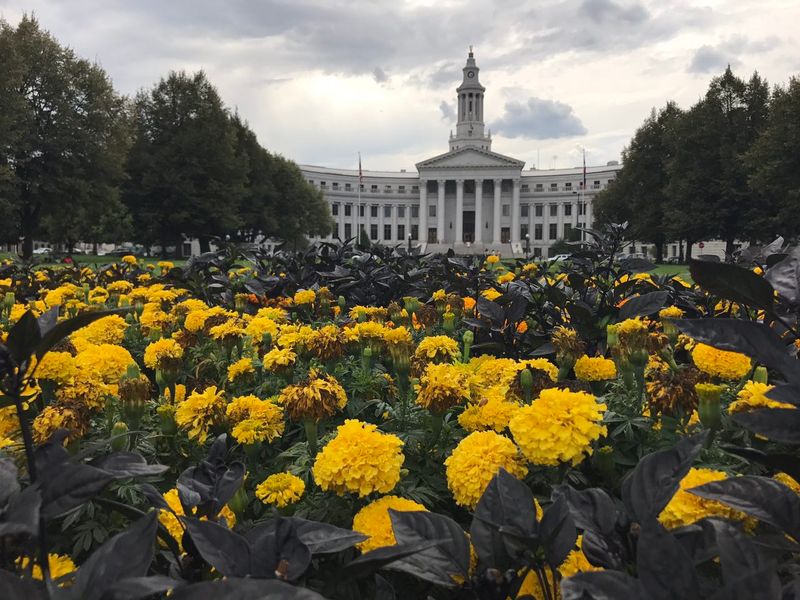 Infrastructure Strain and Smart Recovery