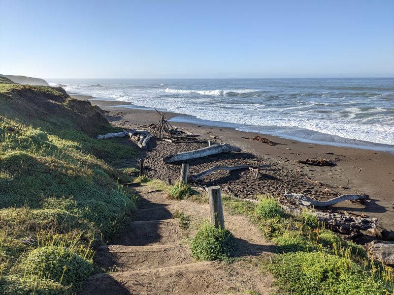 Natural Soundscapes Replace Urban Noise Pollution