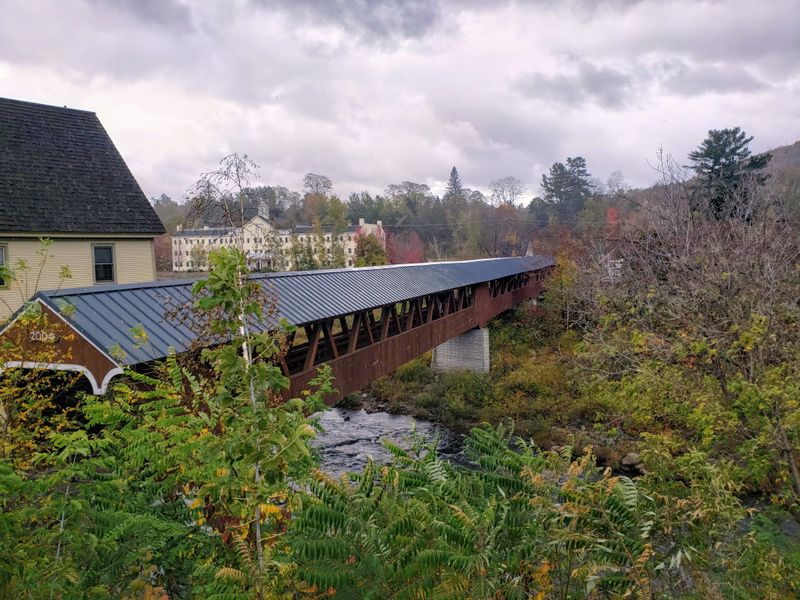 Autumn Foliage Gains Depth and Drama in Foggy Conditions
