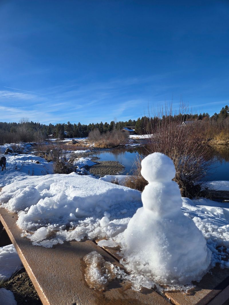Parks for Quiet Walks and Lakeside Calm