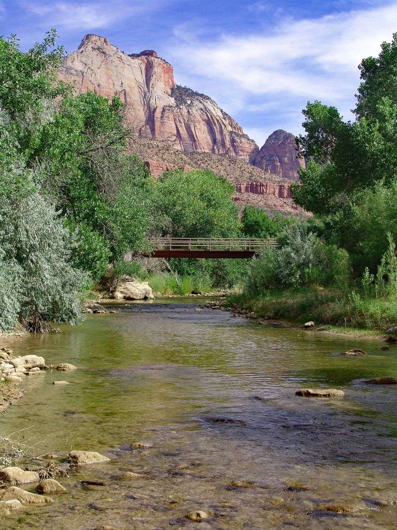 Wildlife Encounters Happen on Nature's Schedule