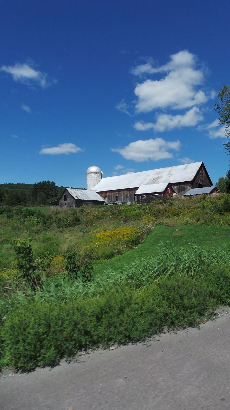 Art Galleries Showcasing Regional Creative Spirit