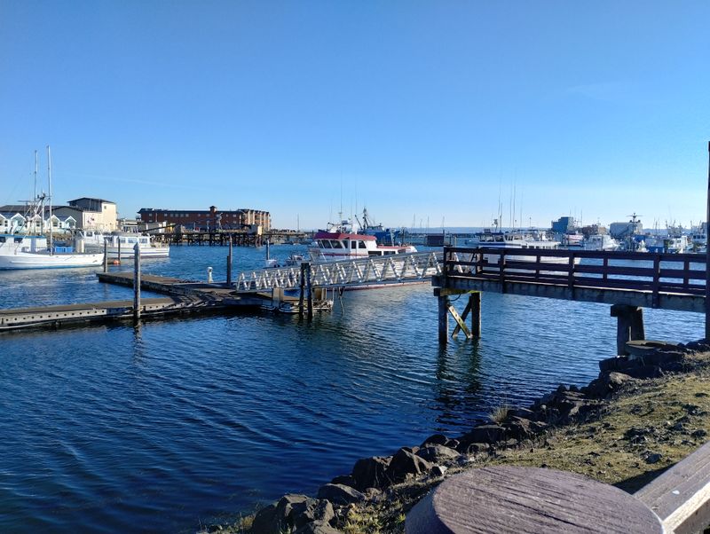 A Coastal Village That Made Chowder Its Compass