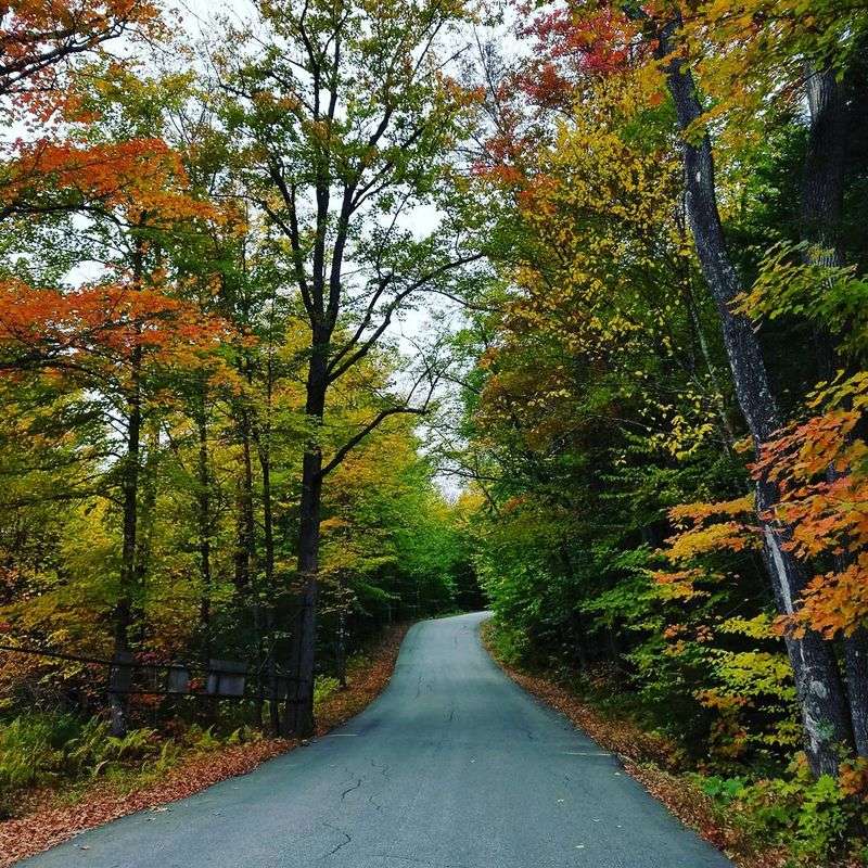 Snowmobiling Jackson’s winter trail network