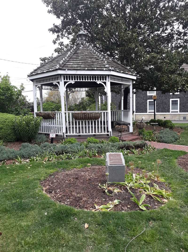 Fresh greens and greenery from Freddie’s Barn