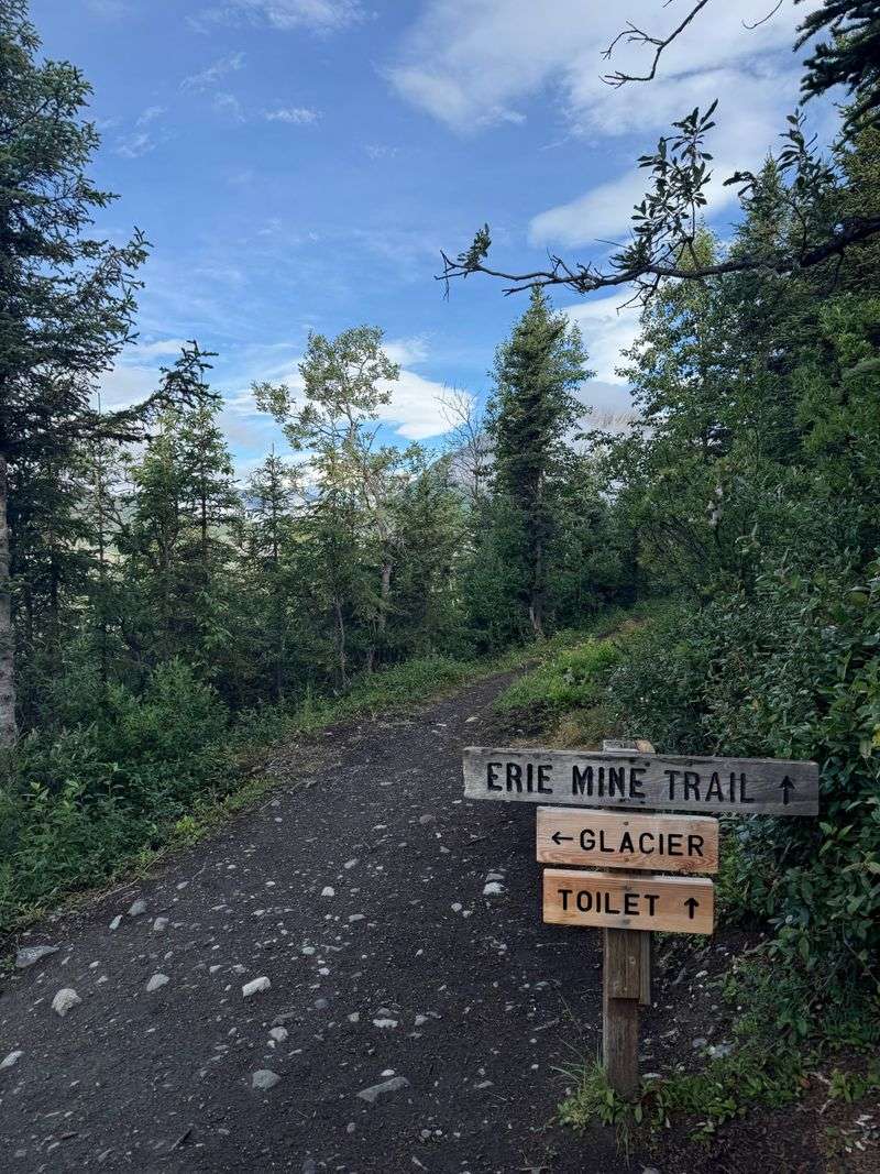 Day trips to nearby hikes and lookouts