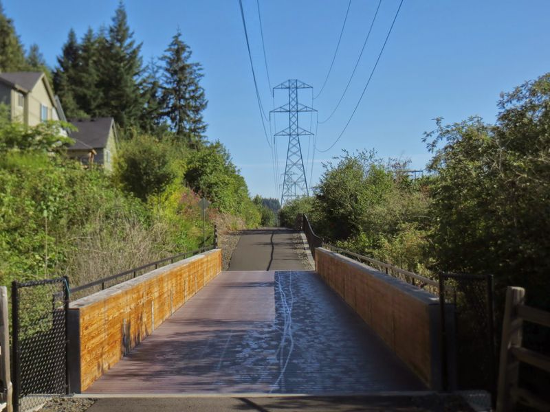 Economic Opportunity for Emerging Entrepreneurs