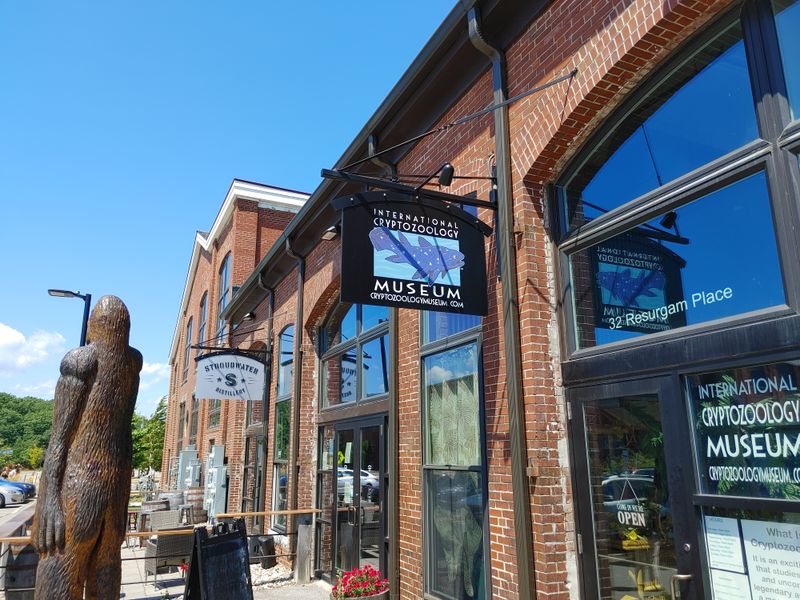 Mermaids, myths, and maritime art