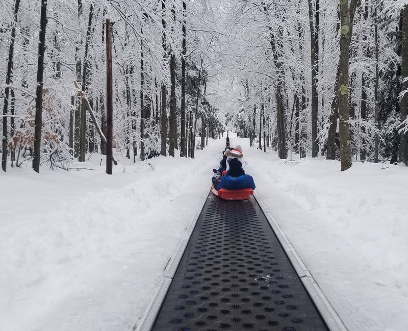 Winter magic, sled run, and cold weather fun
