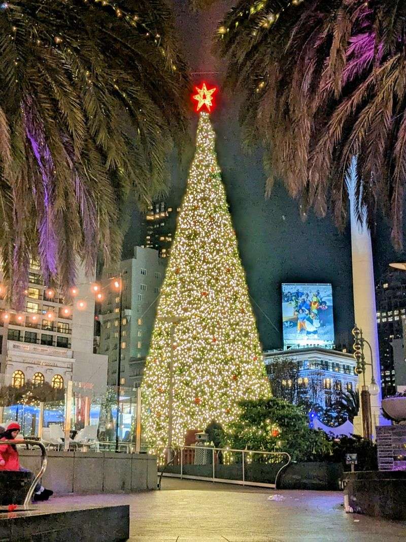 Seasonal Stress Amplified by Crowds