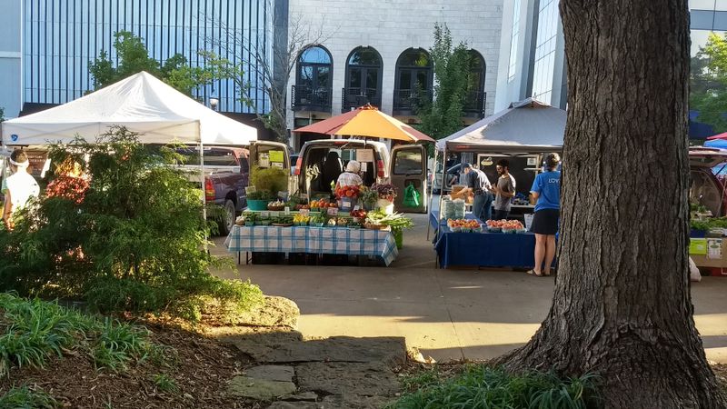 Increased Prices Reflecting Tourism Demand