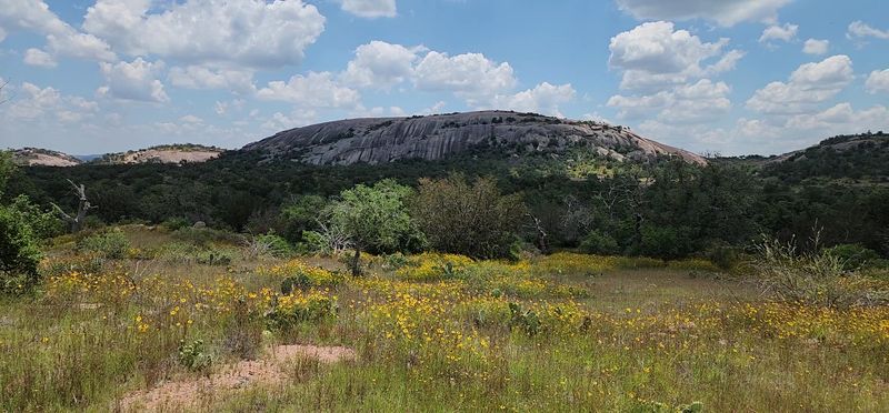 Enchanted Rock Approach Vista
