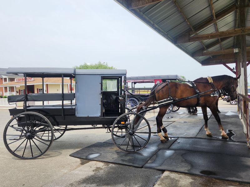 Blocking Roads While Photographing Buggies