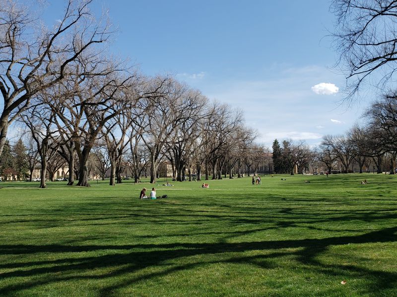 Green Spaces Wherever You Turn