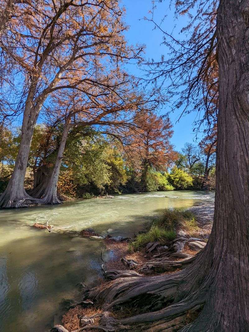 Comfort Is Built For Wandering