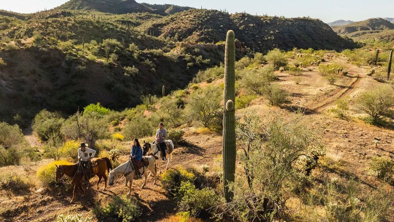 Horseback Riding Through Western Wilderness