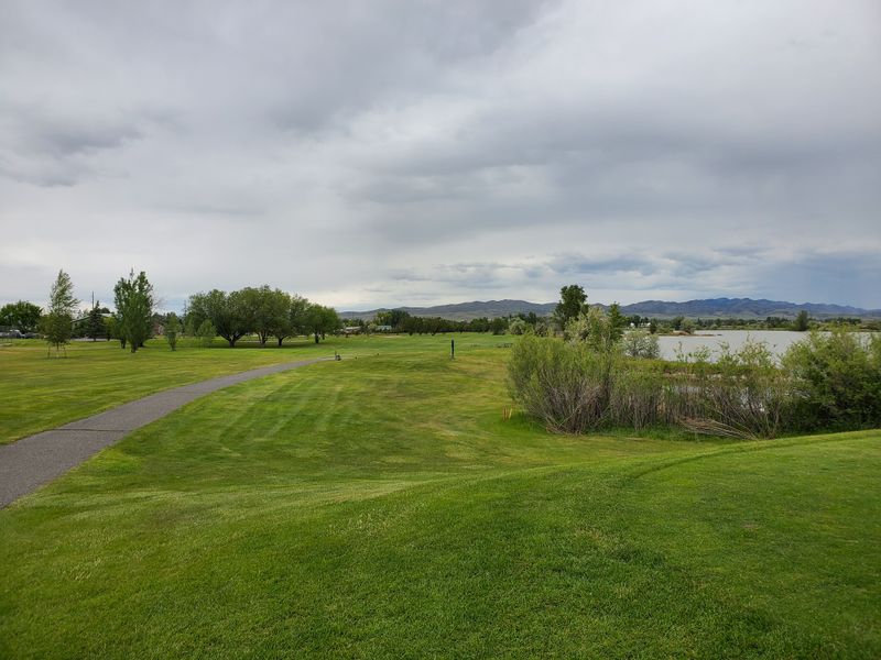 Bleu Horses on Highway 287, Art in the Grass