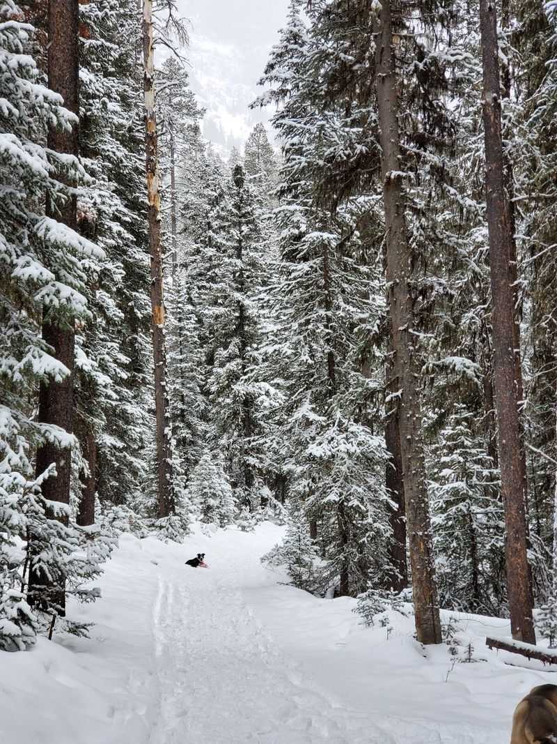 Hyalite Canyon and Ice Climbing