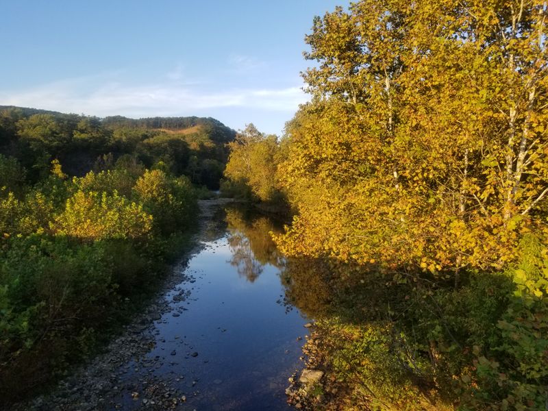 Jackson River Running Right Through