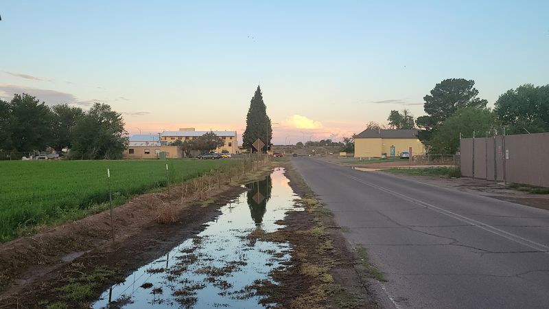 Avenida de Mesilla and the Path Between Towns