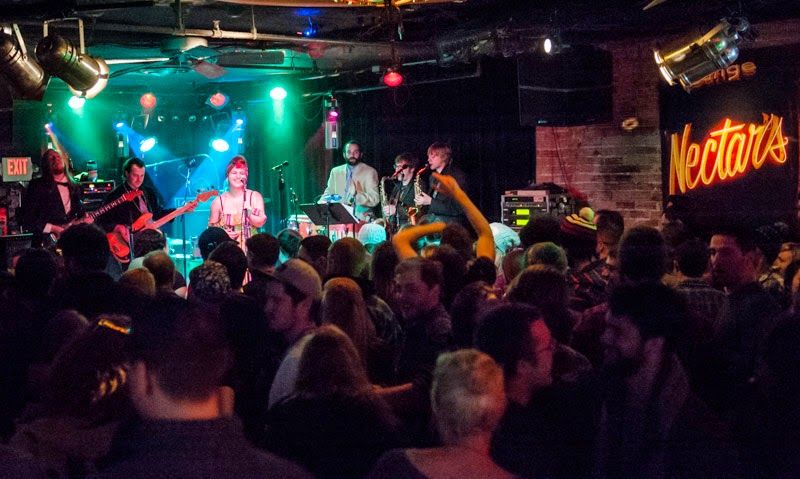 Nectar's Gravy Fries