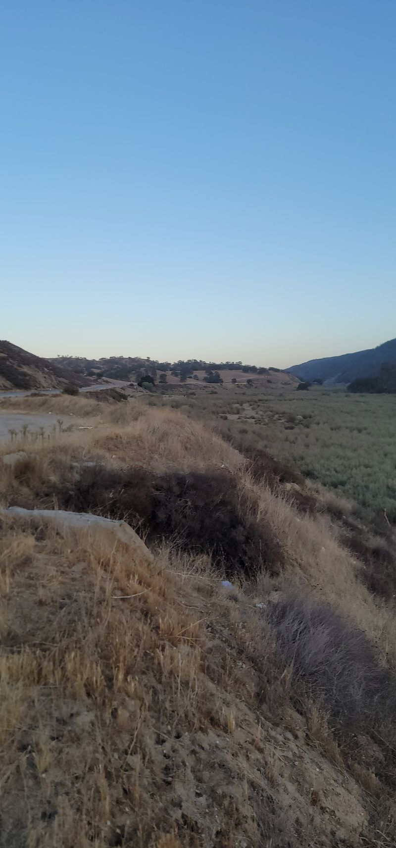 Cuyama Valley
