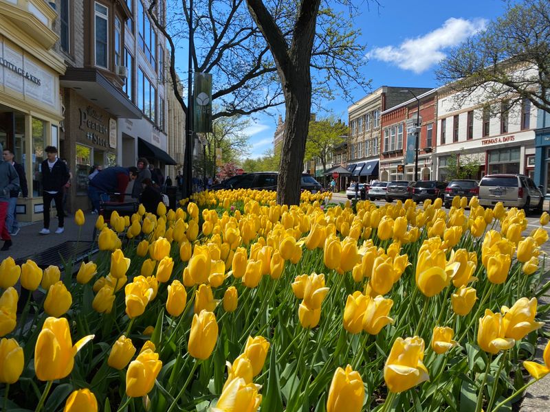 Holland: Dutch Heritage and Lakeside Living