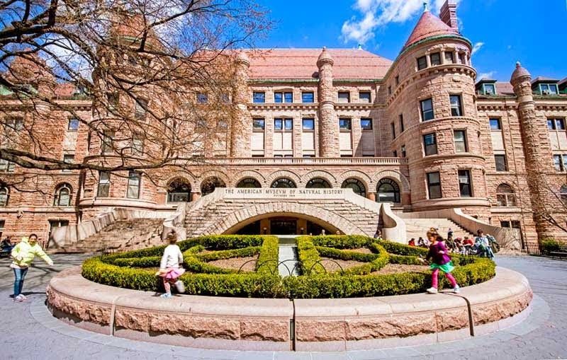 No Tiger Selfies, Big Cat Safety