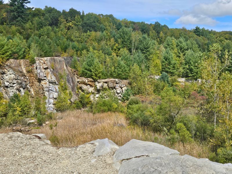 Where to find the quarry remains within Mineral Hills Conservation Area