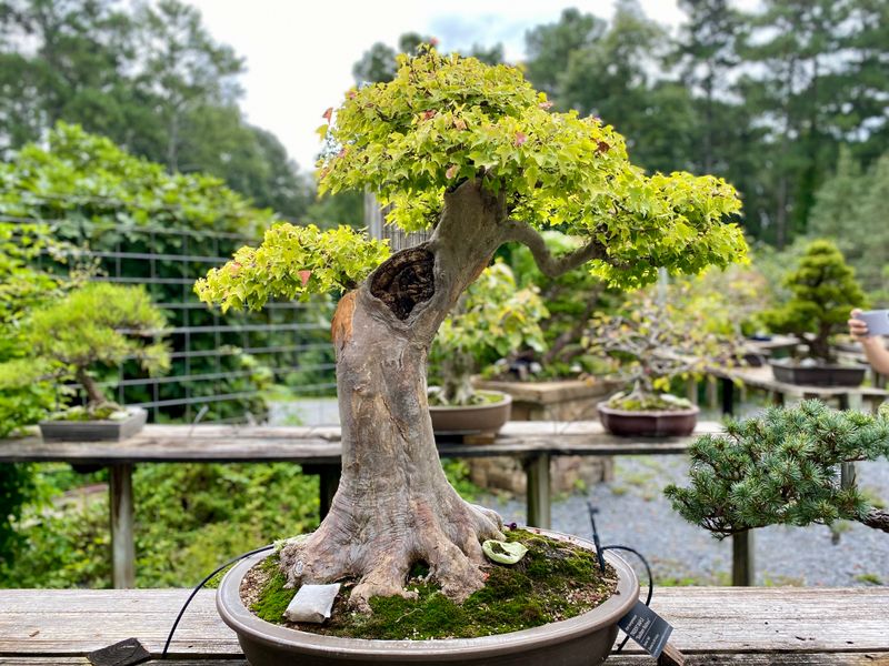 Smith-Gilbert Gardens