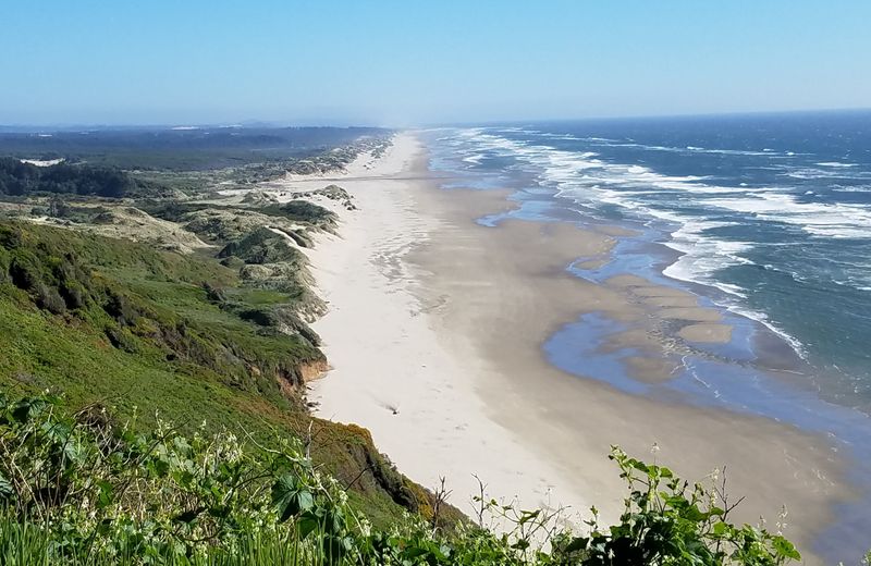 Uncrowded, Expansive Beaches from Heceta to South Jetty