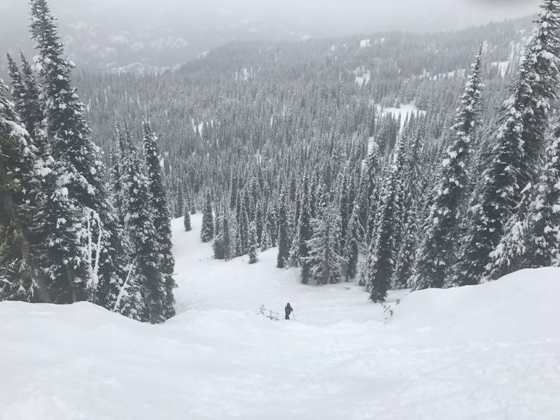 Brundage Mountain, Powder Days That Flow