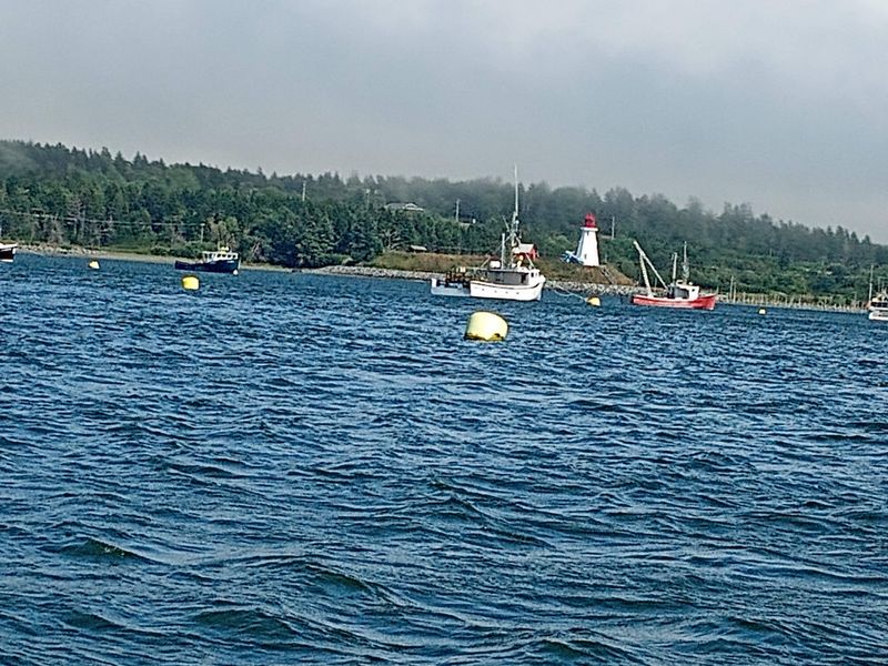 Whale Watching From Shore and Quiet Overlooks