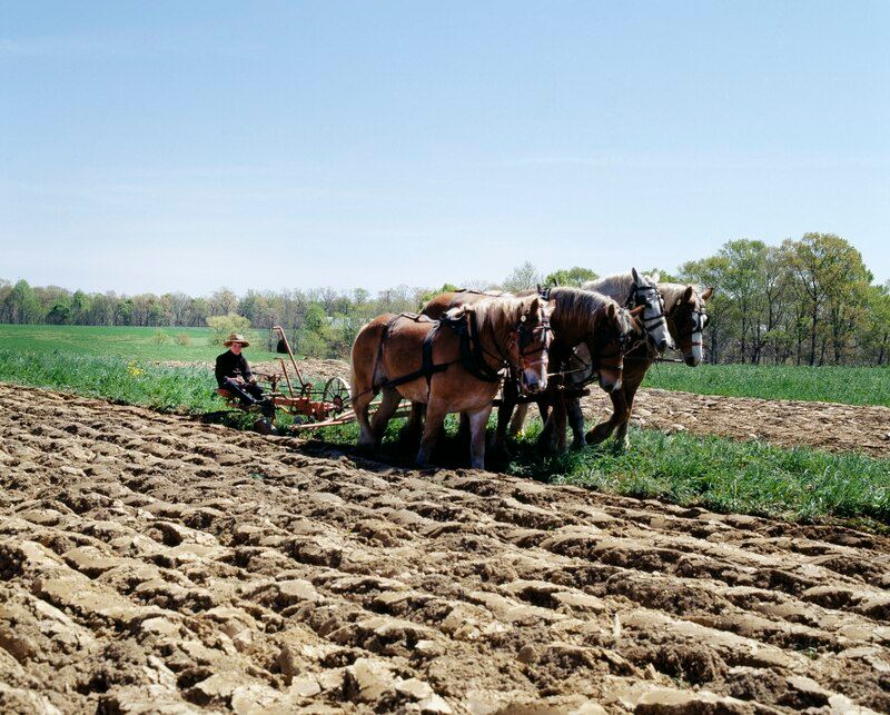 Seasonal Rhythms Dictate Community Activities